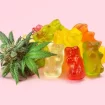 weed gummies