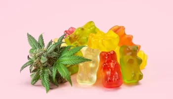 weed gummies